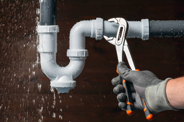 Professional Plumbing technician working in Alpine, NY